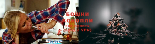 молекула духа Калининец
