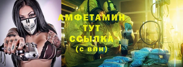 молекула духа Калининец