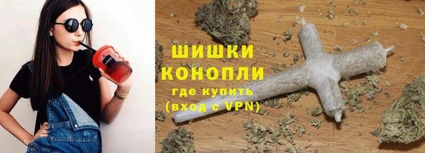 молекула духа Калининец